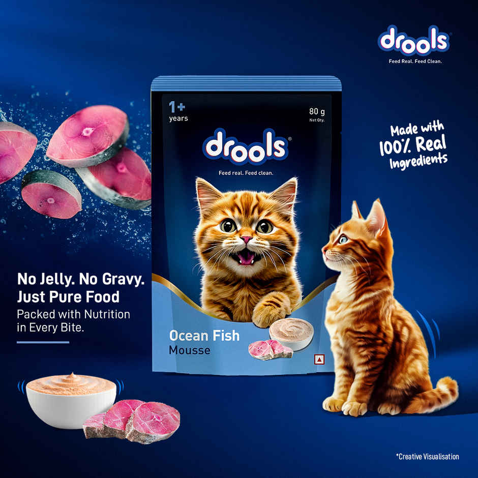 Drools Ocean Fish Mousse Adult Cat Wet Food 80gm