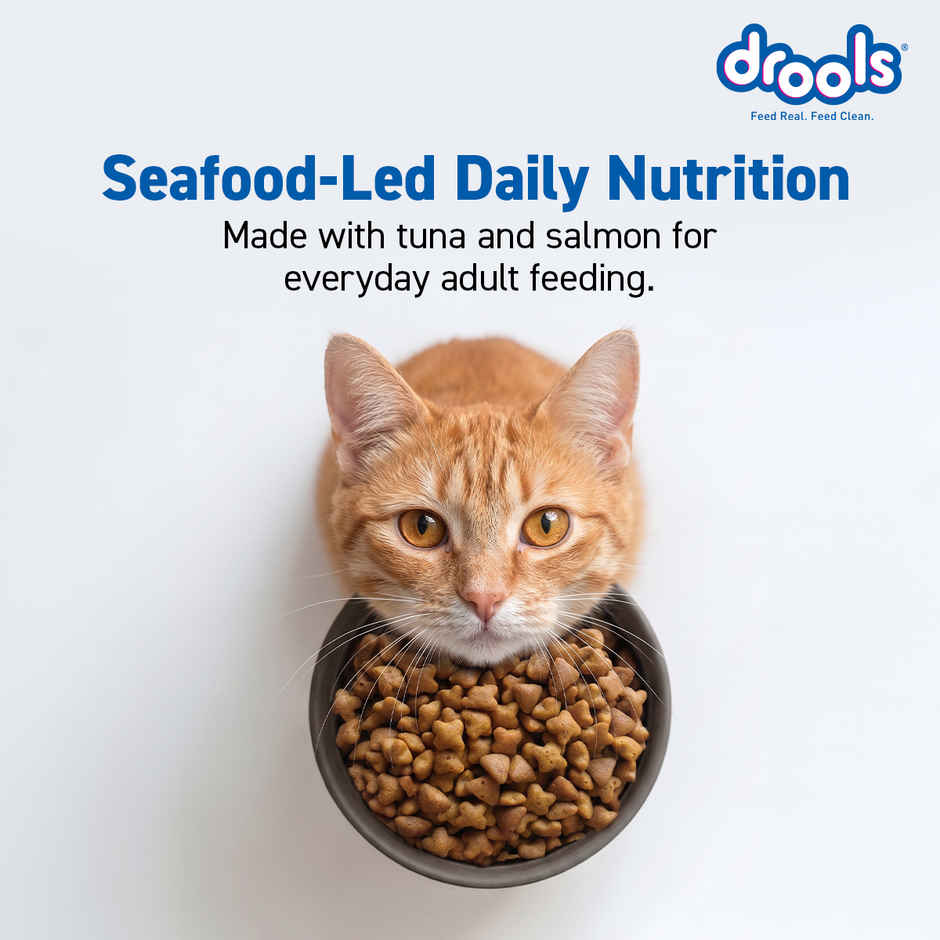 Drools Tuna & Salmon Adult Dry Cat Food