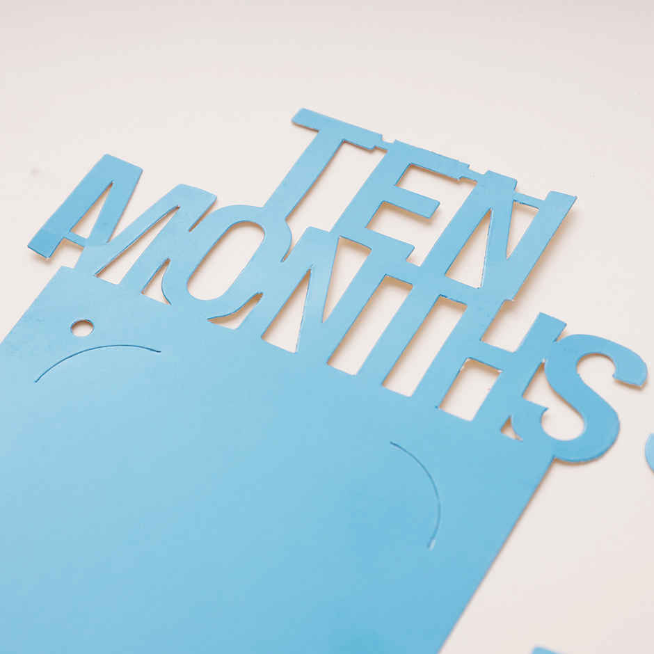 Twelve Months 1st Birthday Photo Banner | Propcon