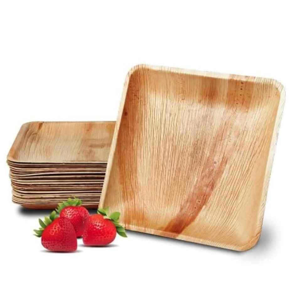 Square Areca Plate | 8 inch | Disposable and Handy | Naturepac