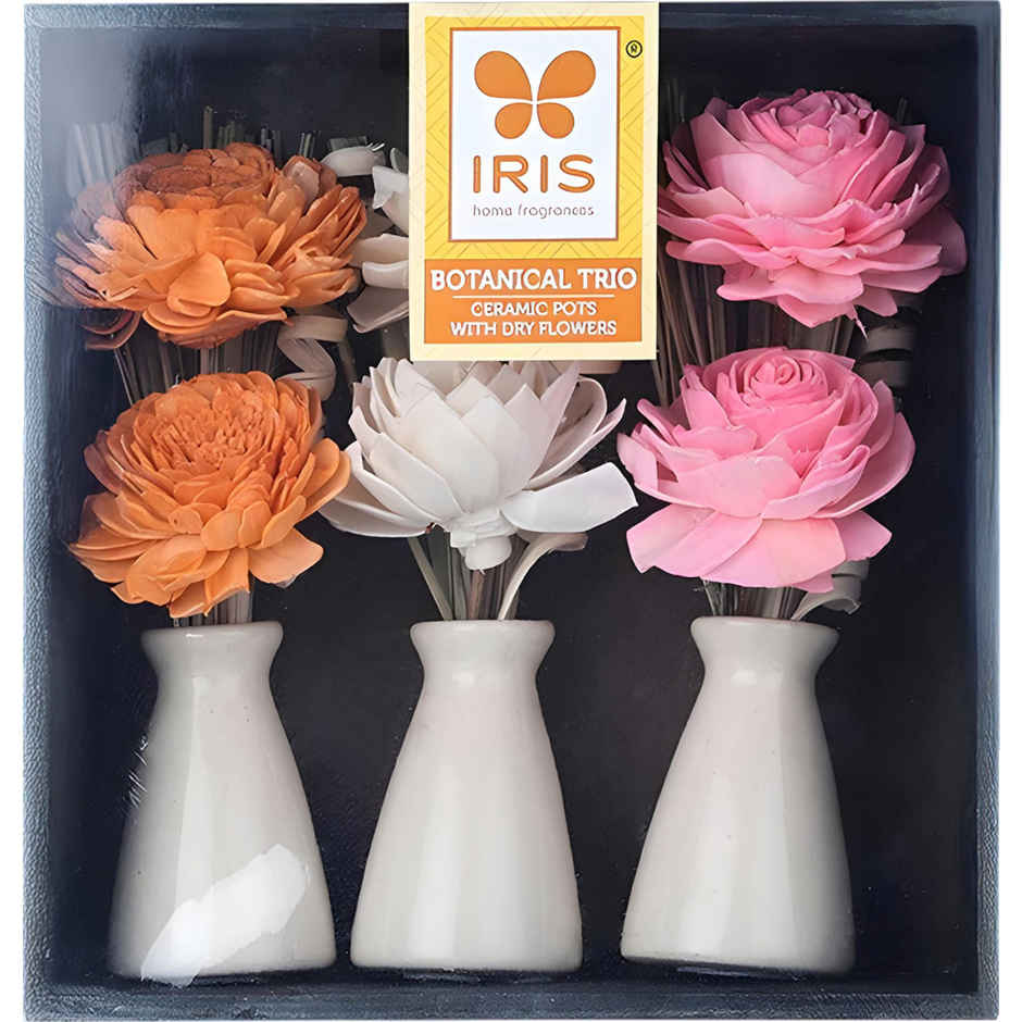 IRIS Botanical Trio Ceramic Vase With Dry Flowers Potpourri Decor