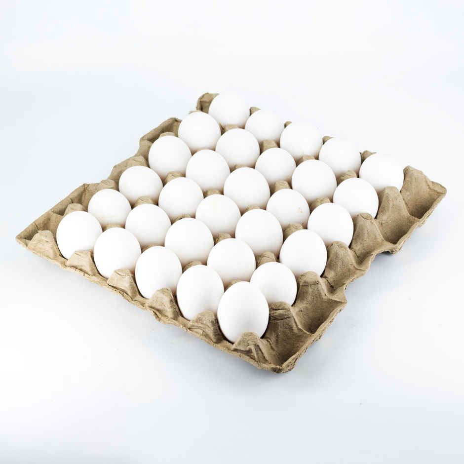 Suguna Delfrez White Eggs
