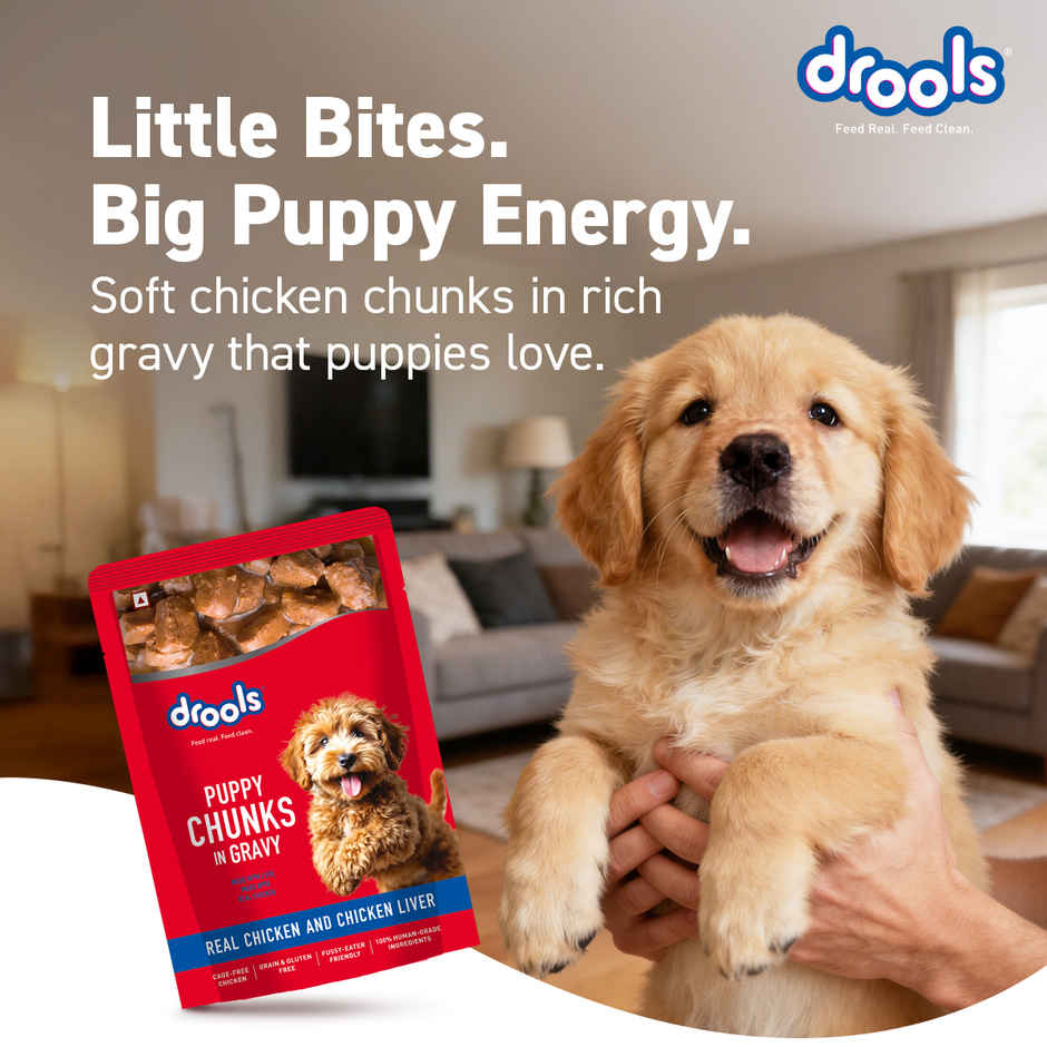 Drools Puppy Wet Dog Food - Real Chicken & Liver Chunks in Gravy Combo