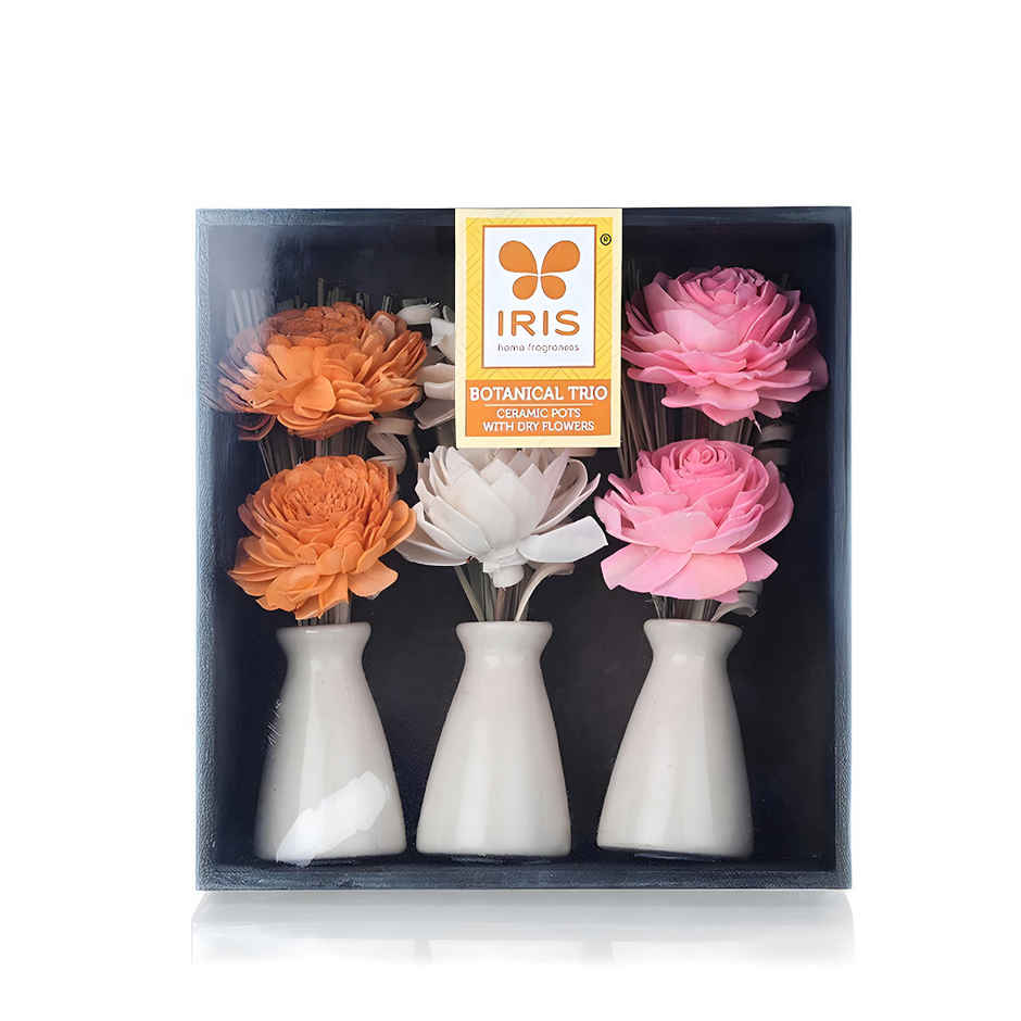IRIS Botanical Trio Ceramic Vase With Dry Flowers Potpourri Decor