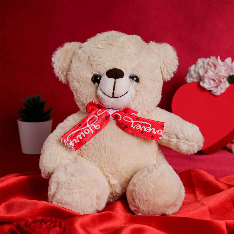 Oye Happy Mr Snuggle Bear