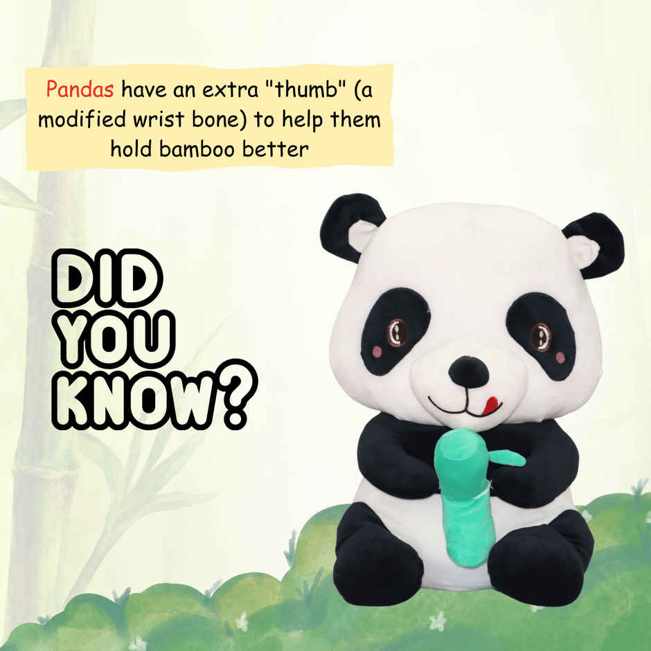 Toytales Panda | Teddy Bear | Soft Toy | Plushie | Birthday Gift| Baby Soft Toys | Black