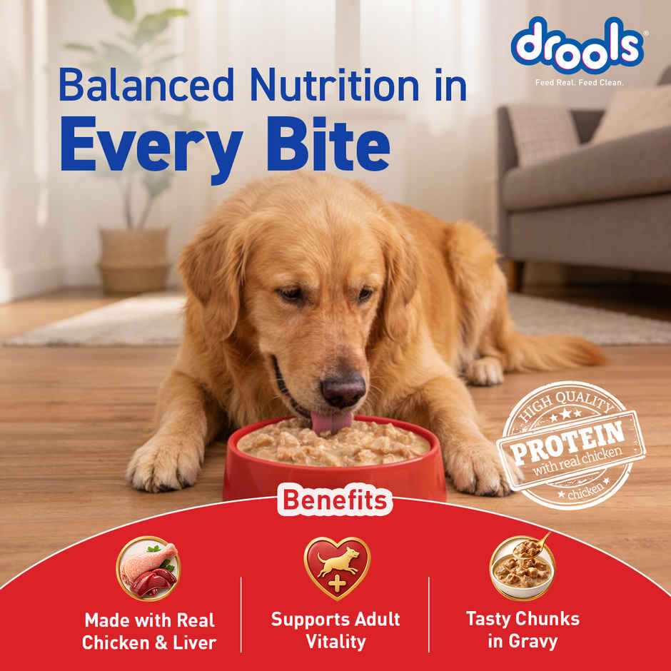 Drools Adult Wet Dog Food - Real Chicken And Chicken Liver Chunks In Gravy