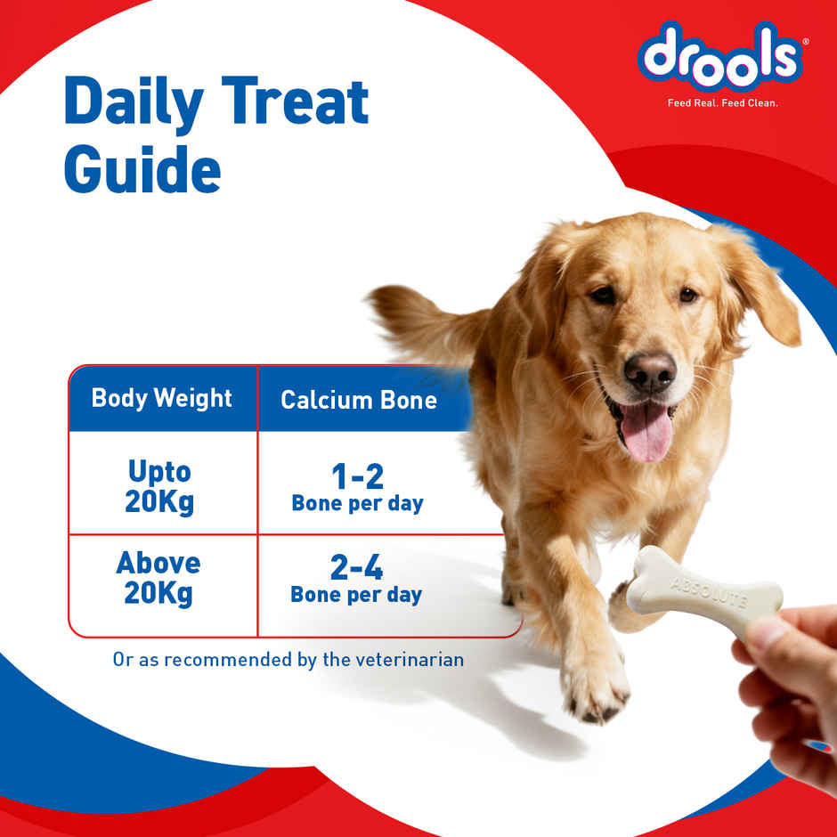 Drools Absolute Calcium Bone Jar, Dog Supplement - 40 pieces (600g)