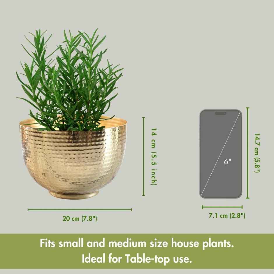 Behoma Metal Hammered Bowl Planter - Gold | Elegant Design