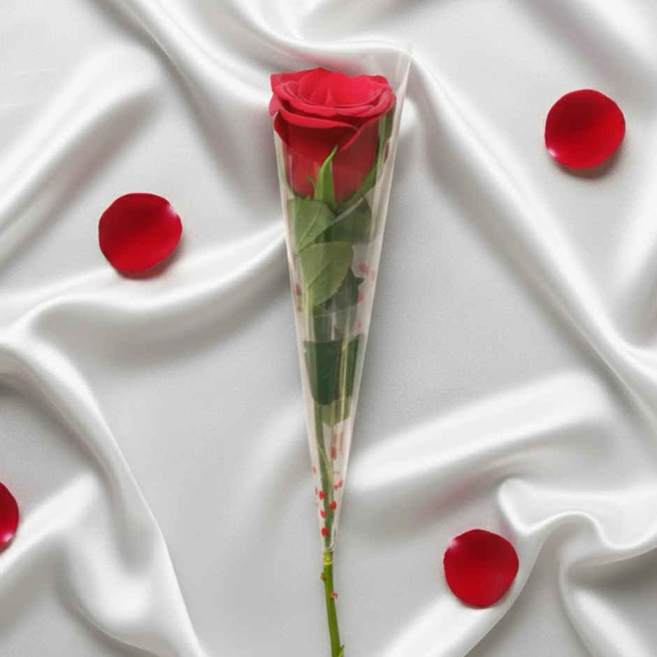 Single Red Rose