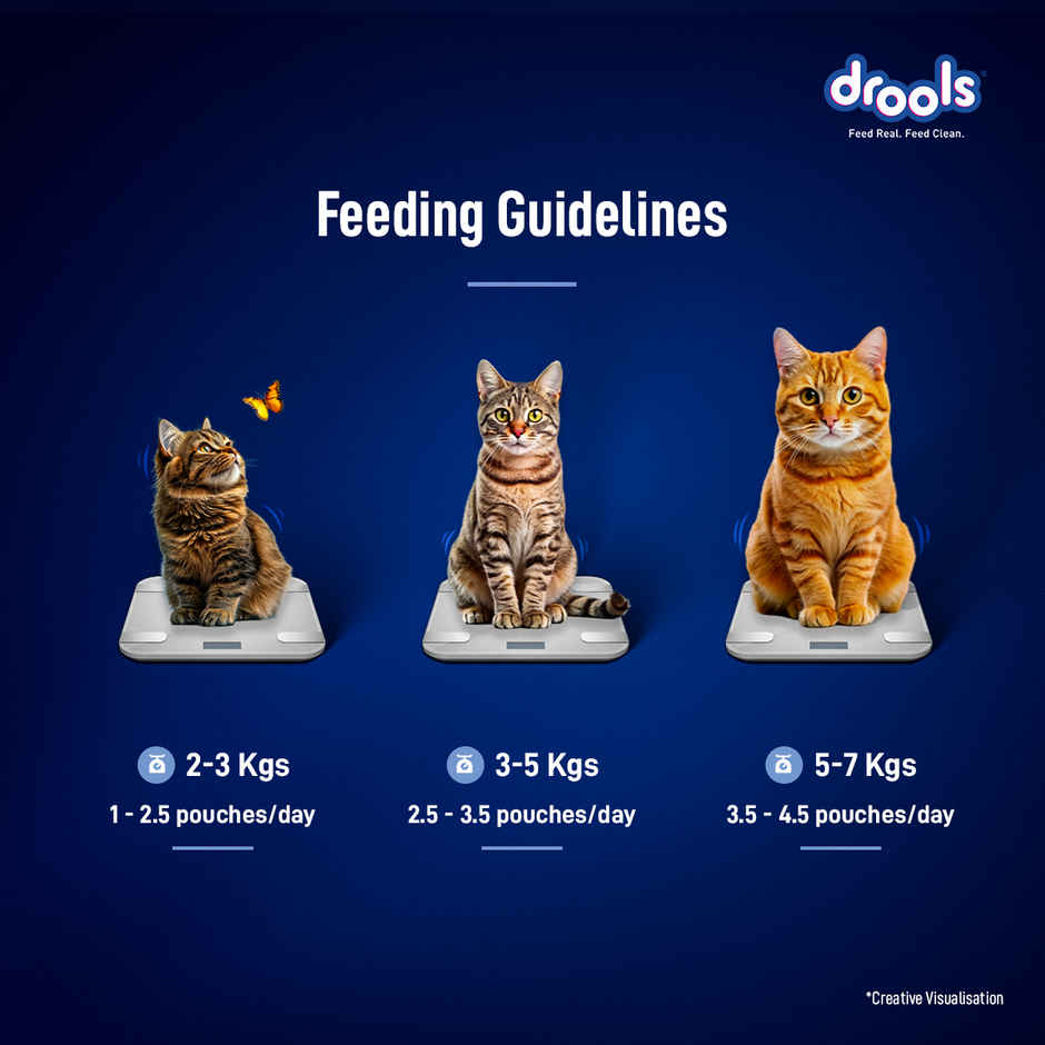 Drools Ocean Fish Mousse Adult Cat Wet Food, 80g (4+1 Free Pack)