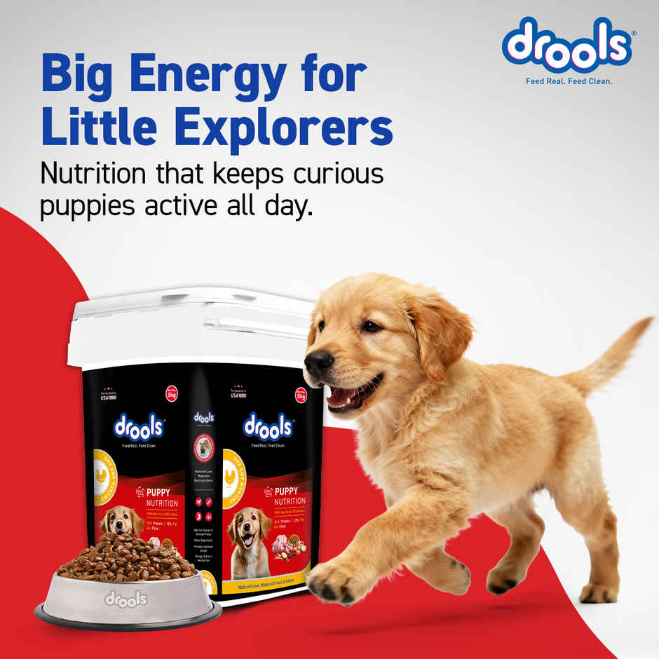 Drools Chicken and Egg Puppy Dry Dog Food Inside Container 5Kg