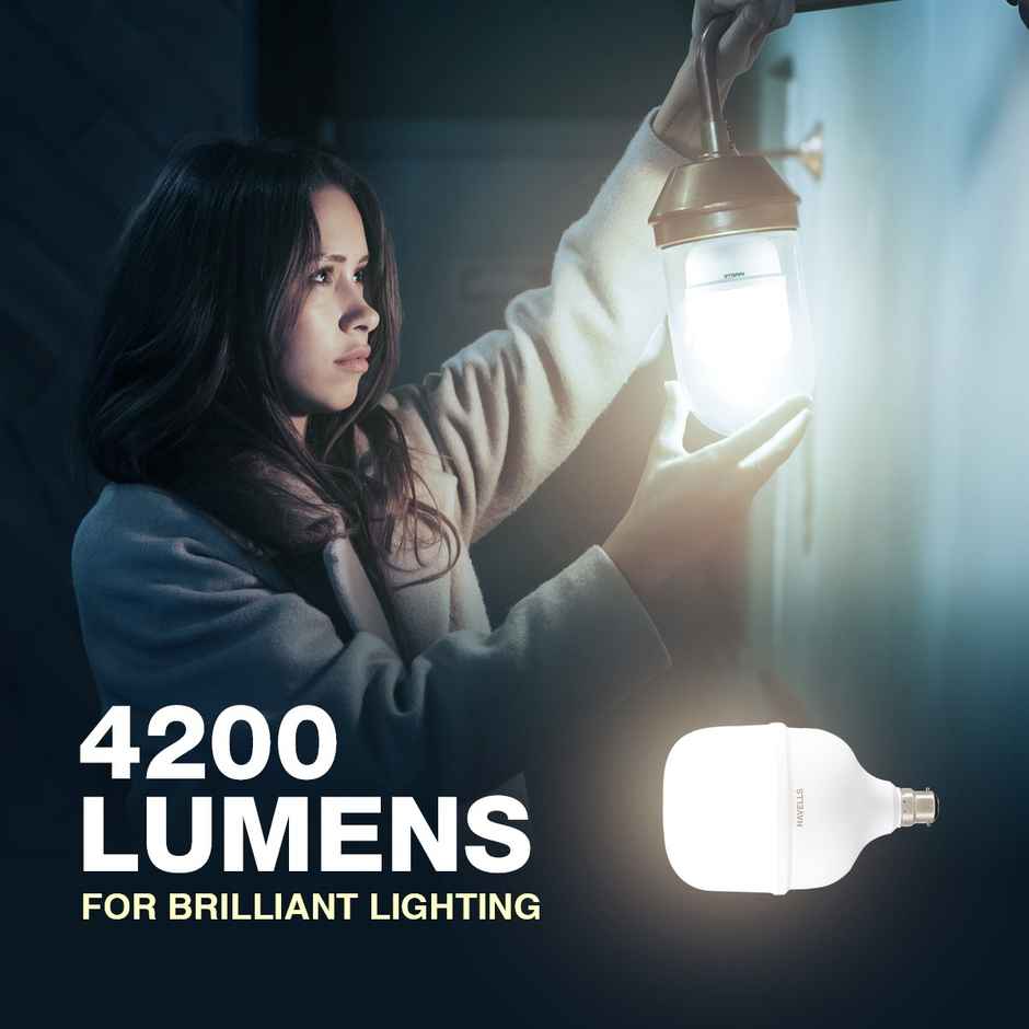 Havells 40W Adore Jumbo Led Bulb Cool Day Light | B22 Base Holder