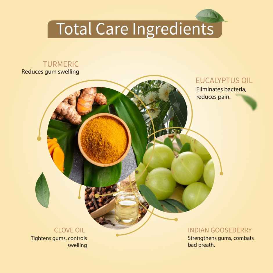 Aimil Ayouthveda Total Care 360 Toothpaste