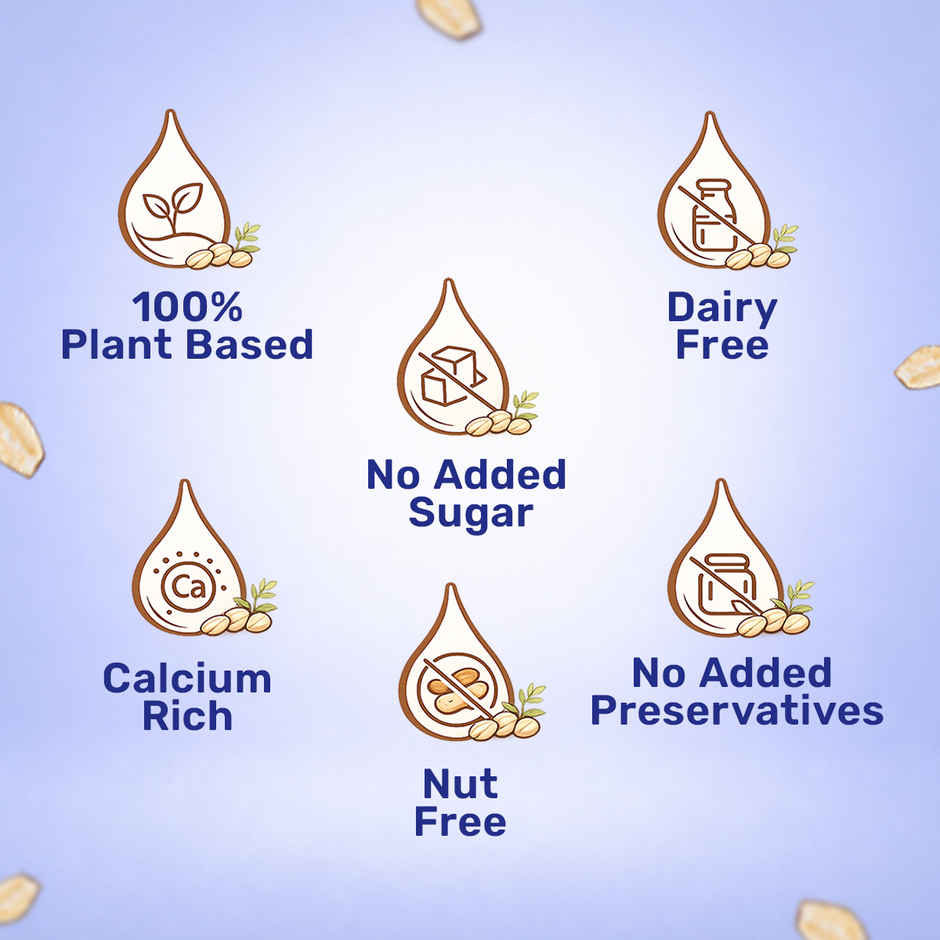 Bagrry's Plant Based Oat Drink