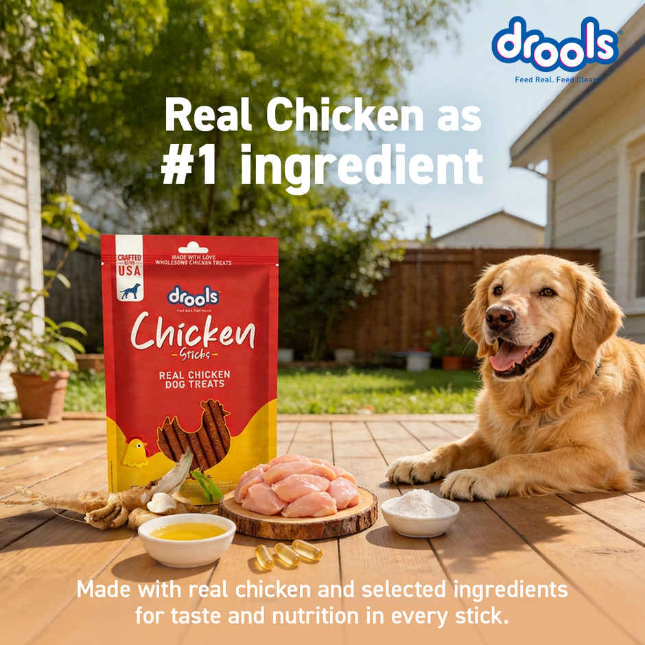 Drools Real Chicken Flavor Dog Treats Sticks