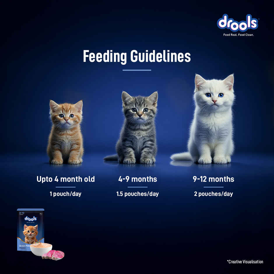 Drools Ocean Fish Mousse Kitten Wet Food