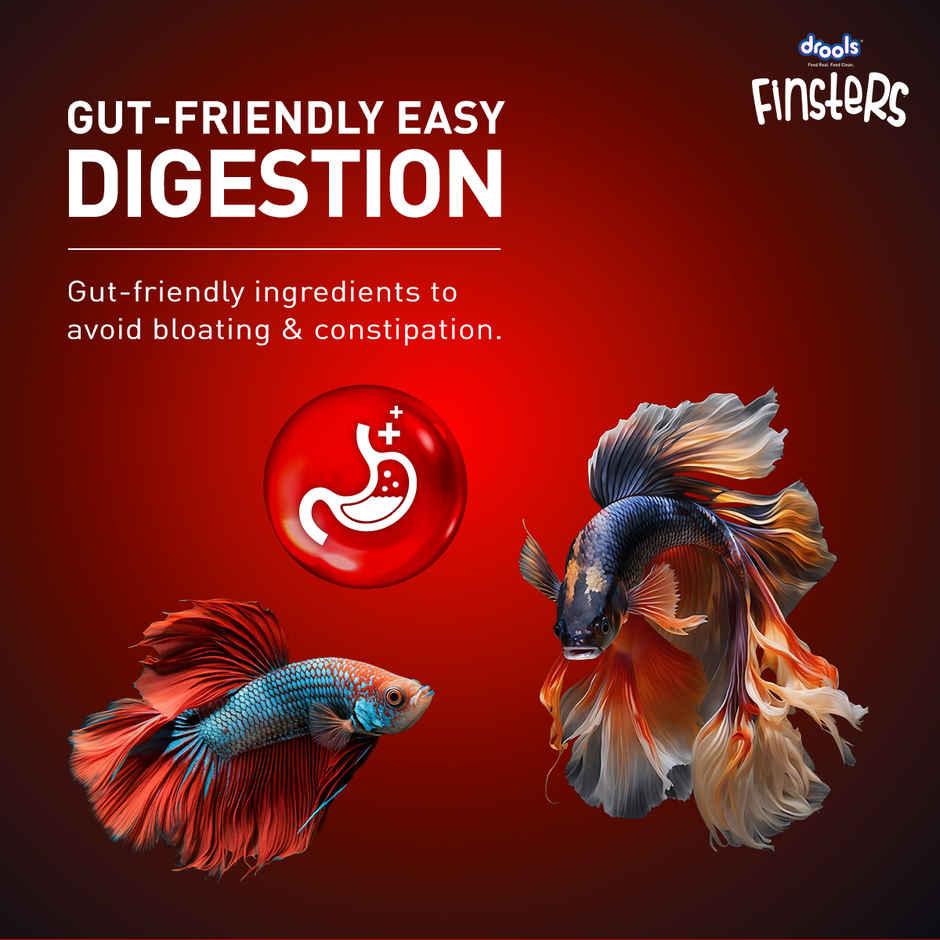 Drools FinstersBetta FishFood