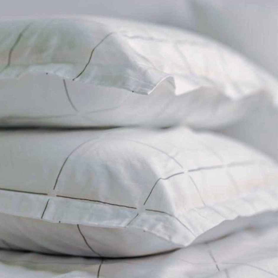 Sleepycat Cotton Pillow Cover With Envelope Closure - Standard Size, 28 X 18 Inches (Pack Of 2)