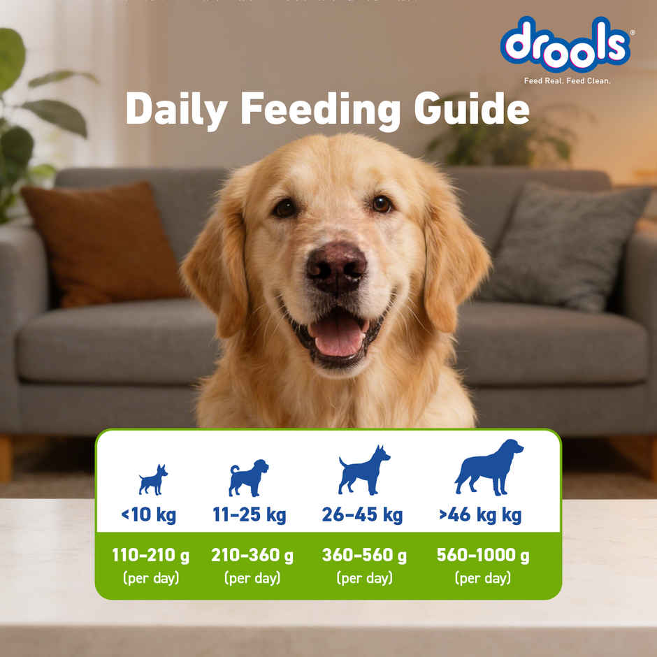 Drools Veg Dry Dog Food, For Puppies & Adults