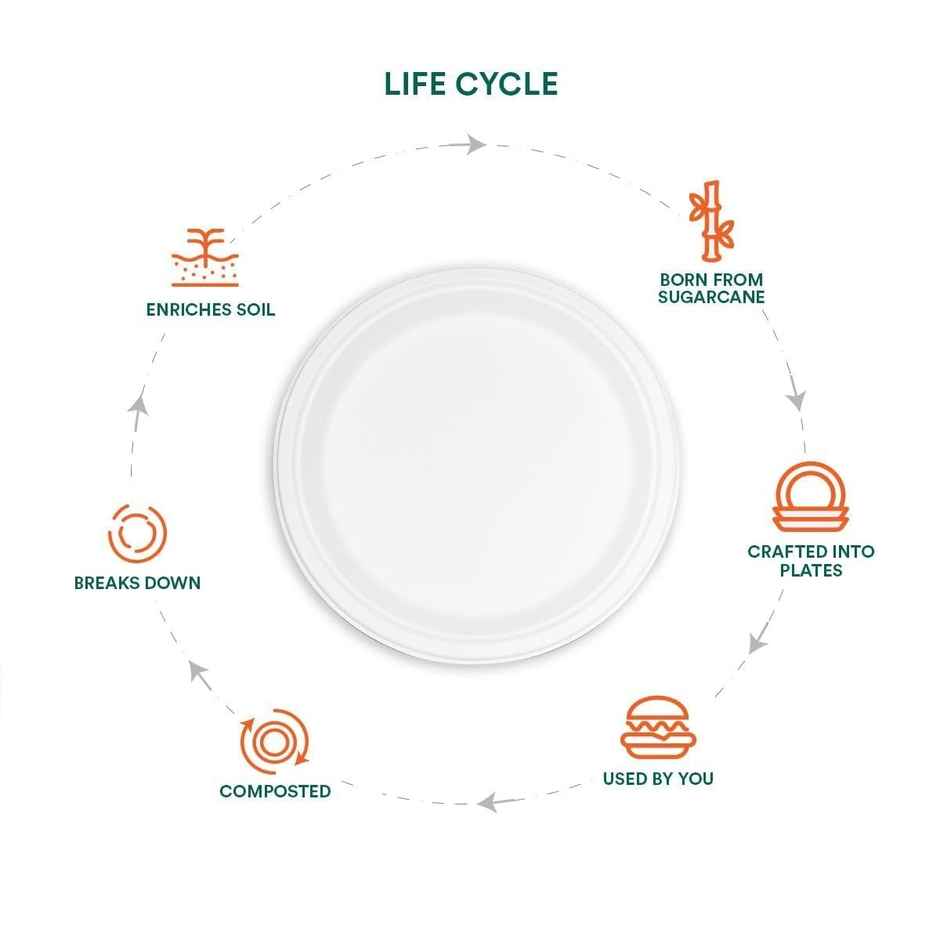 Round Disposable Flat Plate | 11 inch | Naturepac  Combo