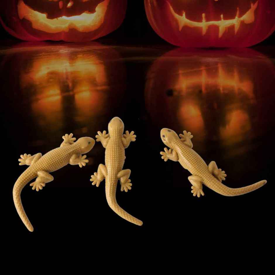 Fake Lizard | Pack Of 5 | Halloween Special | Festvista