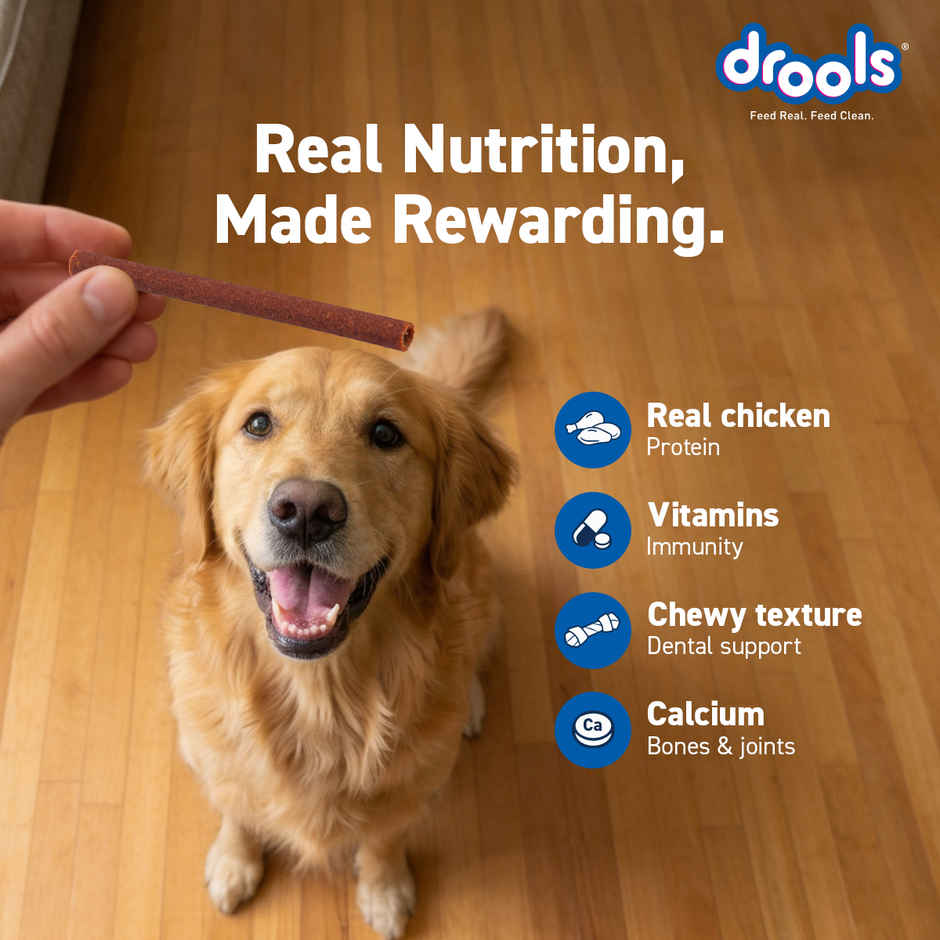 Drools Real Chicken Flavor Dog Treats Sticks