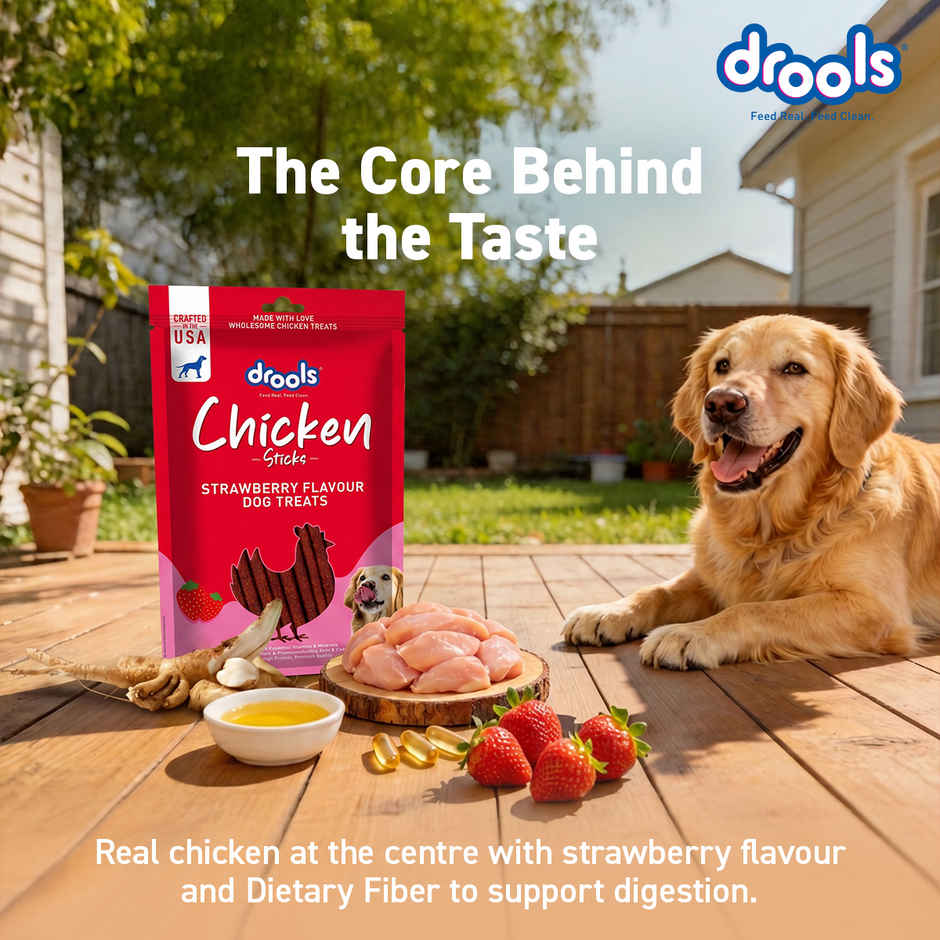Drools Chicken Strawberry Flavor Dog Treats Sticks