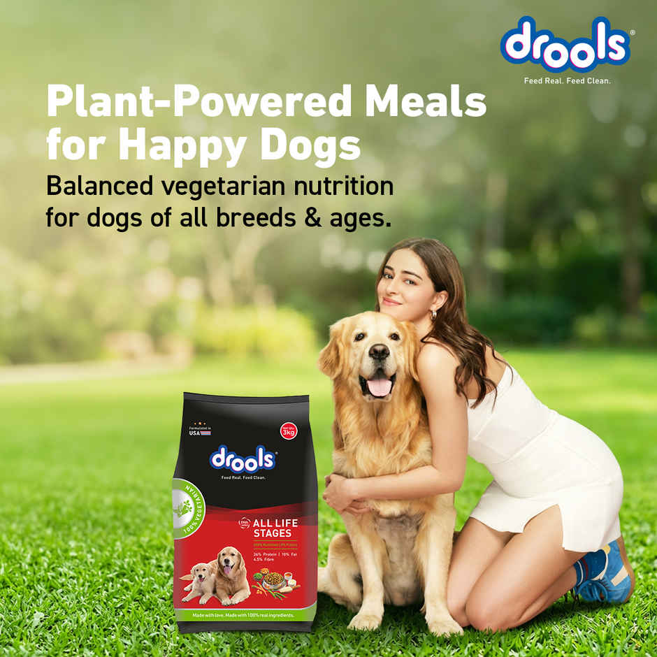 Drools All Lifestages 100% VEG Dry Dog FOOD