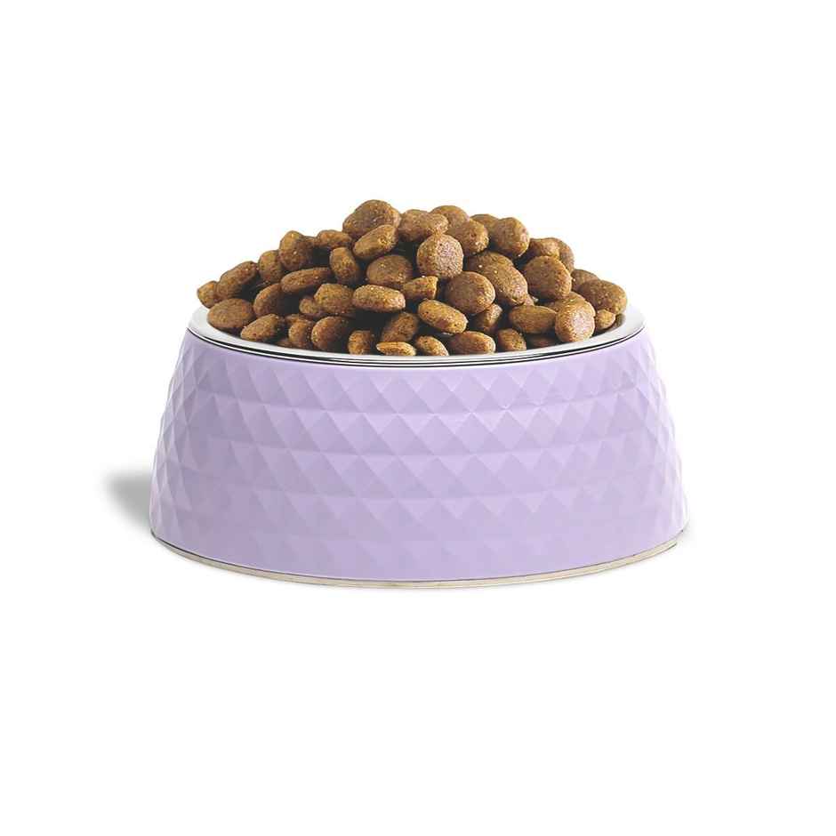 Zigly Lifestyle Retro Pyramid Dog Bowl - Lavender (L)