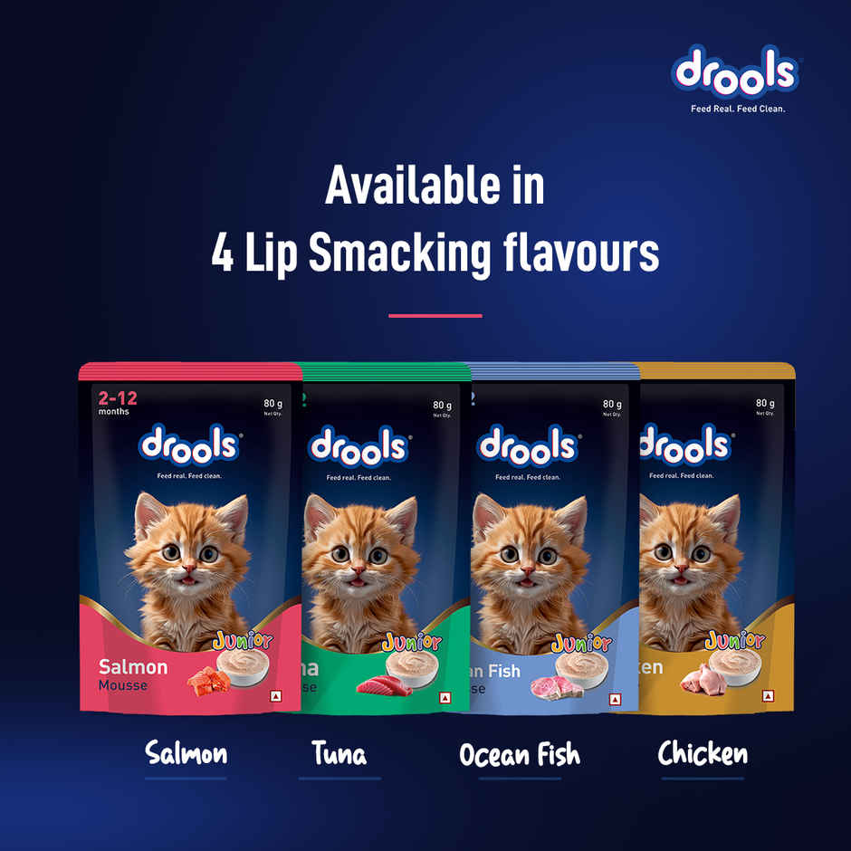 Drools Salmon Mousse Kitten Wet Cat Food, 80g (4+1 Pack Free)