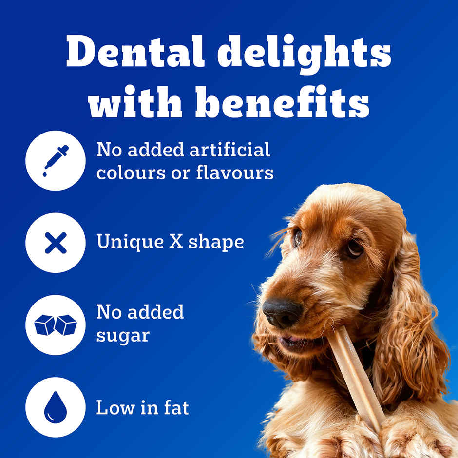 Pedigree Dentastix Adult Small Breed (5-10 Kg) Oral Care Dog Treat Combo