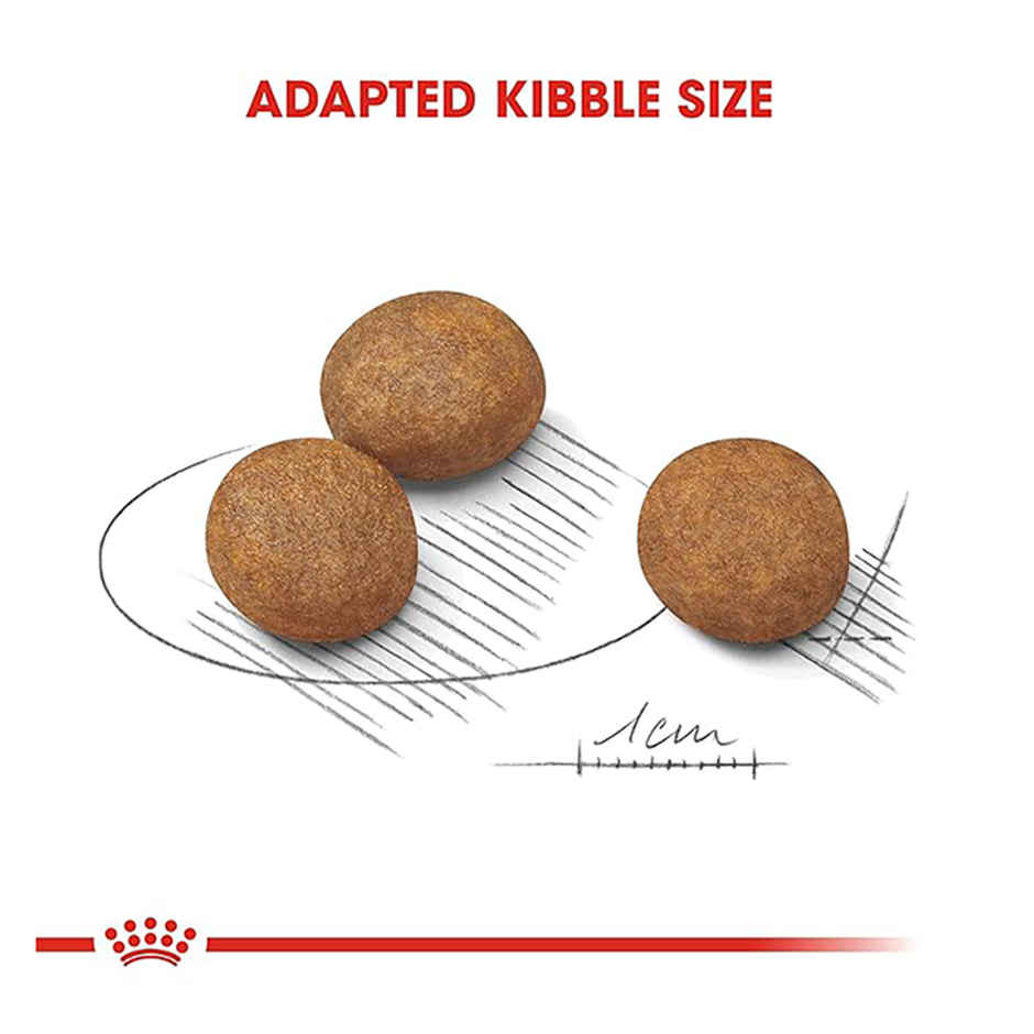 Royal Canin Maxi Puppy Dog Dry Food Combo 