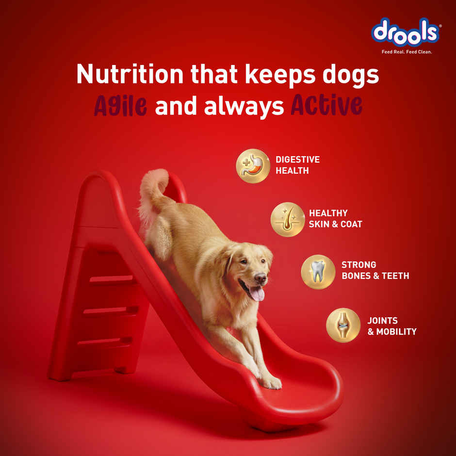 Drools Lamb and Rice Adult Dry Dog Food 2.8 kg with Free 1 kg