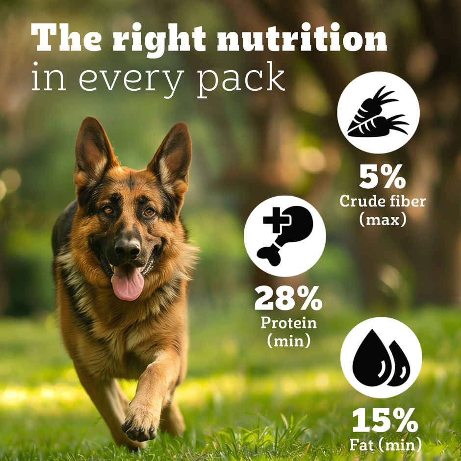 Pedigree PRO Adult Large Breed (18 Months+) Dog Food