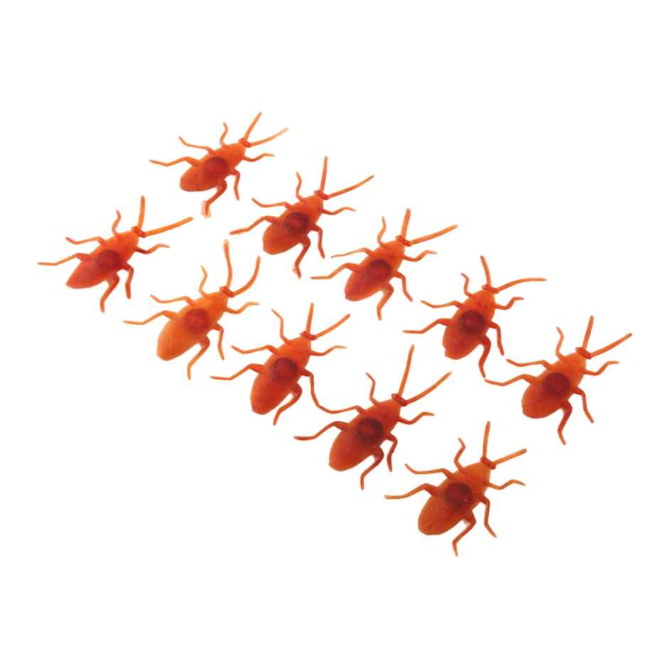 Fake Cockroach | Pack Of 10 | Halloween Special | Festvista