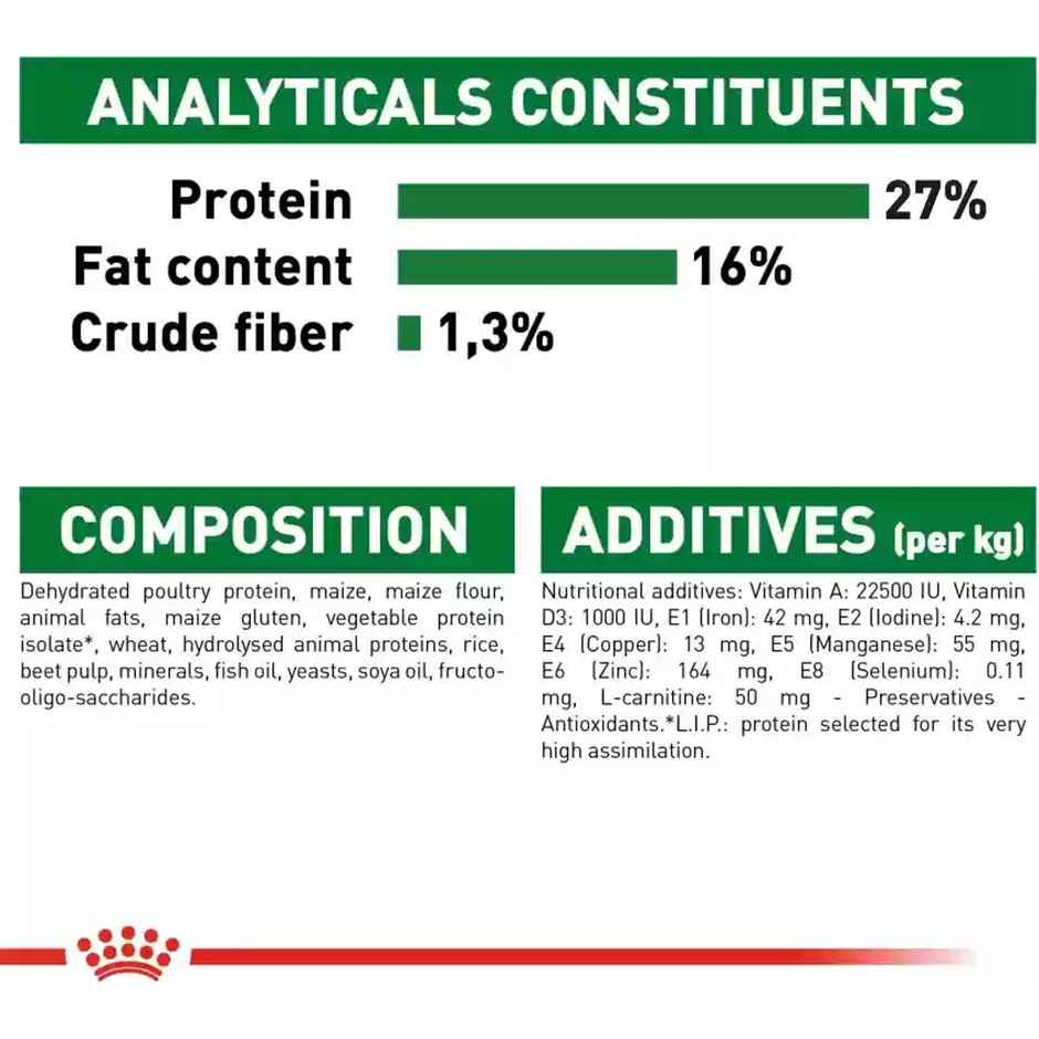 Royal Canin Mini Adult