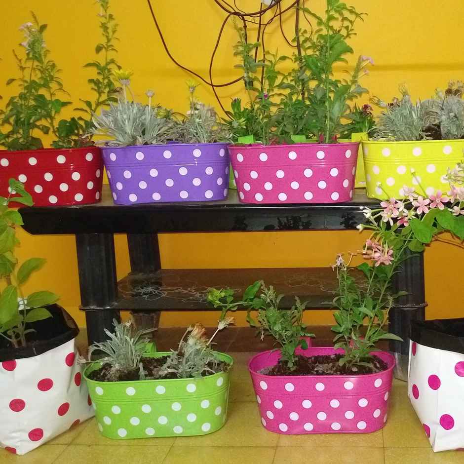 TrustBasket Dotted Oval Railing Planters | Assorted Hanging Pots for Balcony