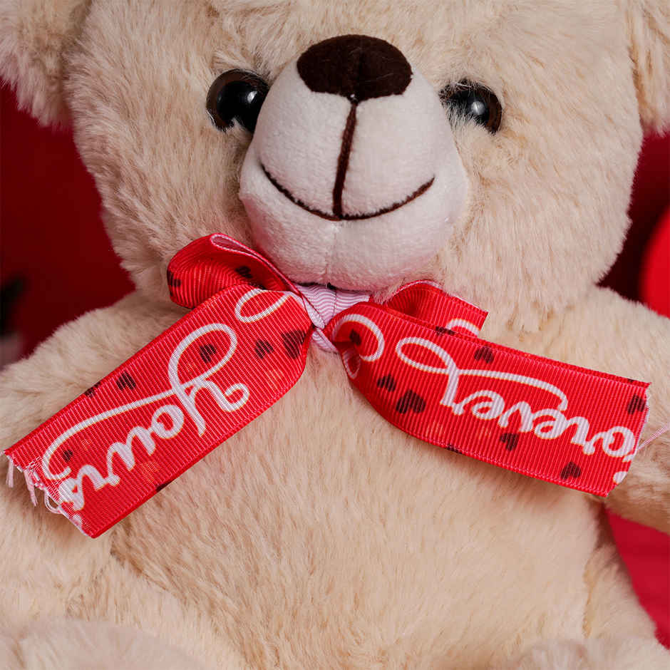 Oye Happy Mr Snuggle Bear