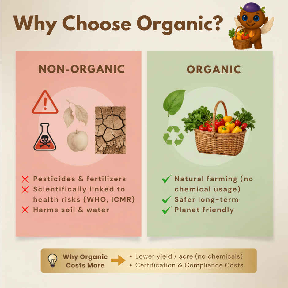 Earthen Story Organic Wild Forest Honey