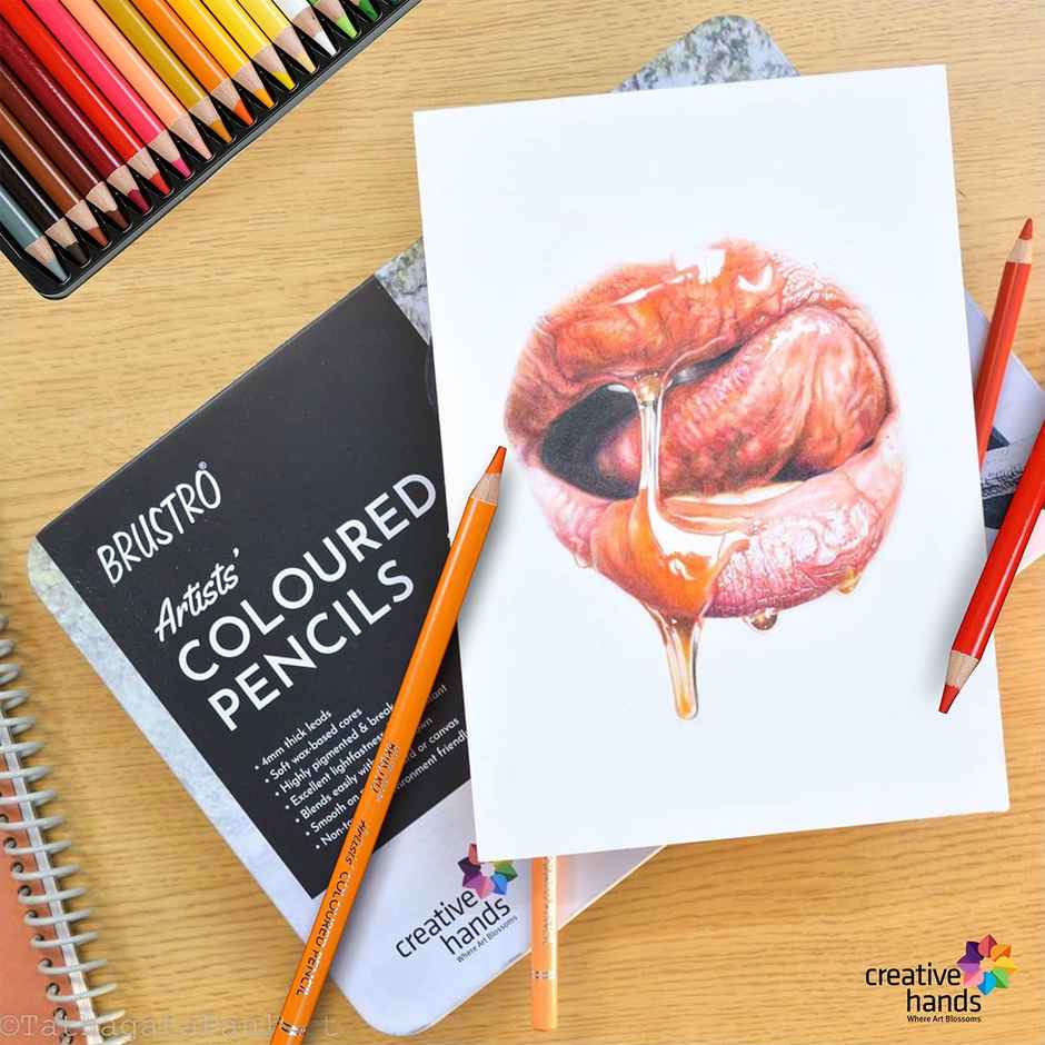 Brustro Artists Coloured Pencil Set Of 24