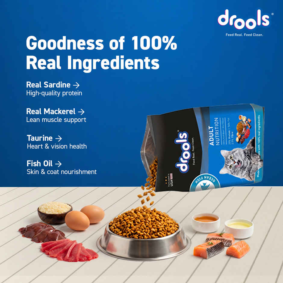Drools Ocean Fish Adult  Dry Cat Food