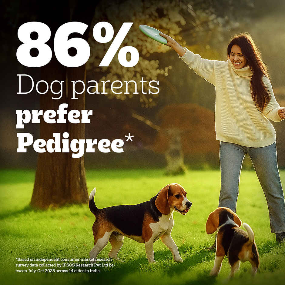 Pedigree PRO Adult Small Breed (9 Months+) Dog Food