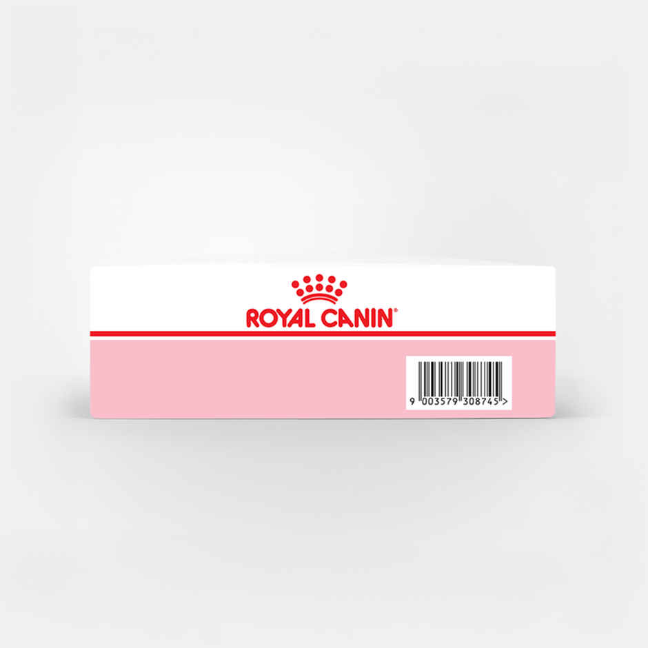 Royal Canin Kitten Cat Wet Food