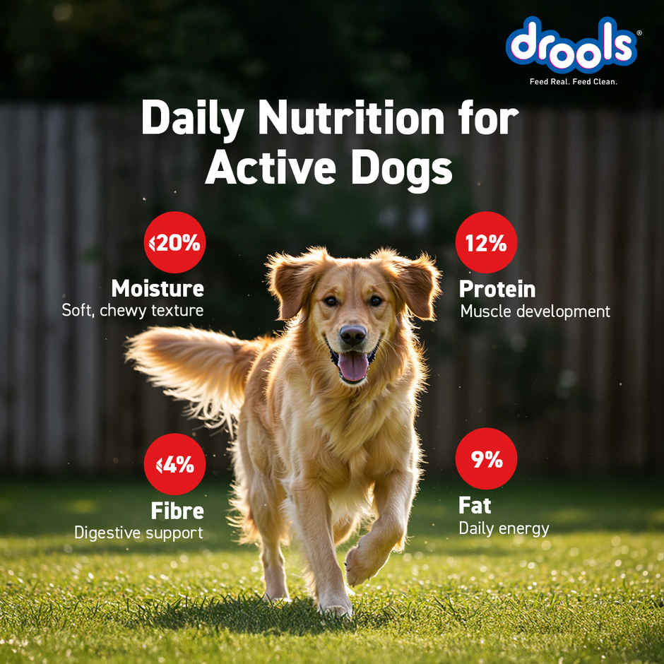 Drools Real Chicken Flavor Dog Treats Sticks