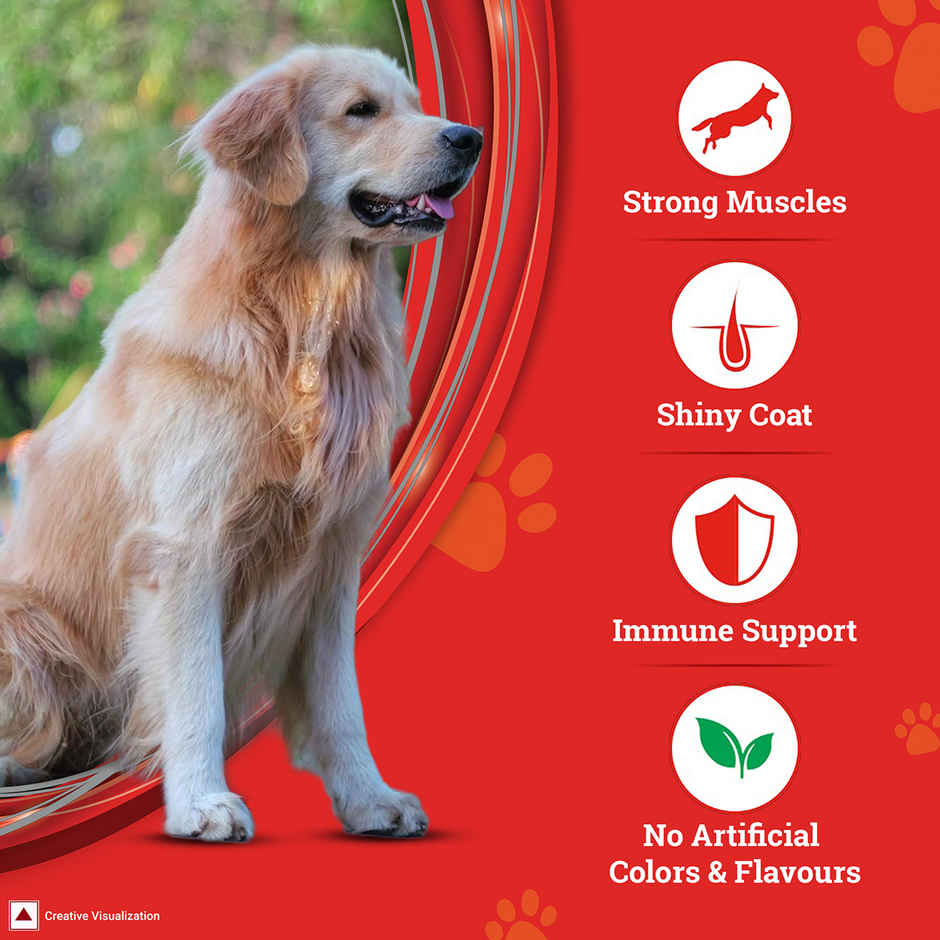 PURINA SUPERCOAT Adult | 1+ Years | Dry Dog Food with Chicken