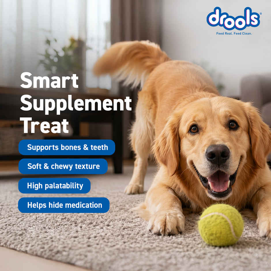 Drools Absolute Calcium Sausage Dog Supplement - Jar