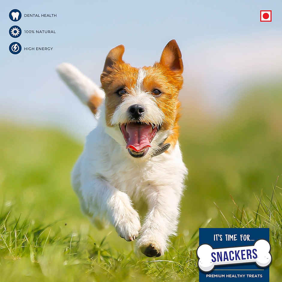 Snackers Calcium Stick With Chicken Dog Treat