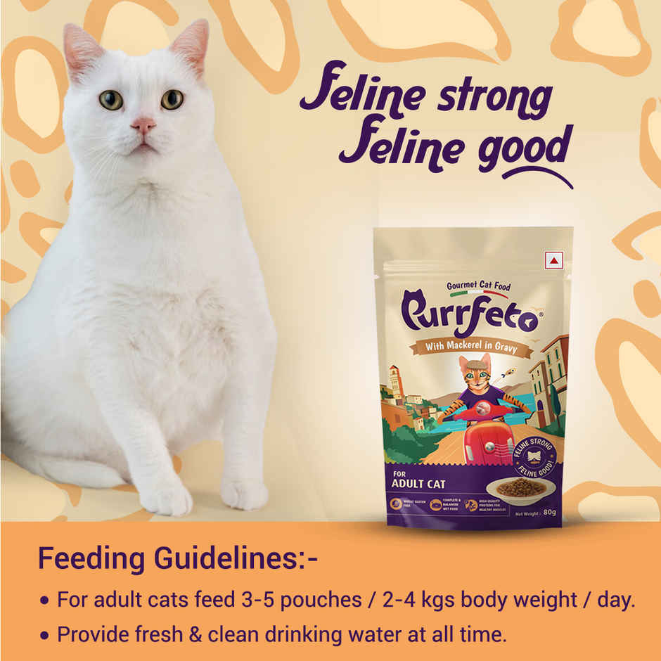 Purfetto Wet Cat FOOD With Mackerel In Gravy