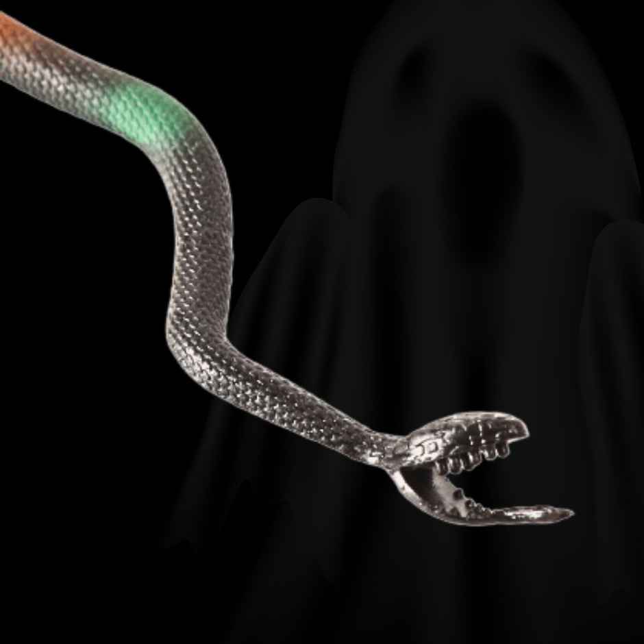 Fake Snake | Halloween Special | Festvista